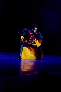 Image 8 of Robin cosplay suit