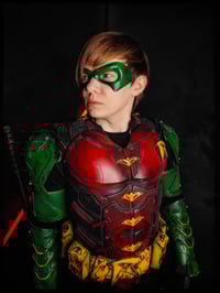 Image 1 of Robin cosplay suit