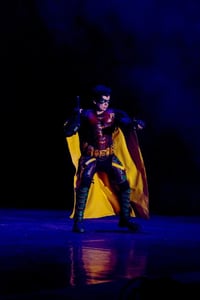 Image 7 of Robin cosplay suit