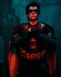 Image 6 of Robin cosplay suit