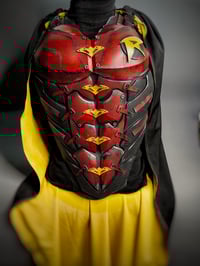 Image 12 of Robin chest armor