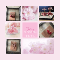 Image 3 of Cherry Blossom Beauty Collection