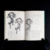 Image 5 of DRAWING DRAGONS TANSAI TERANO