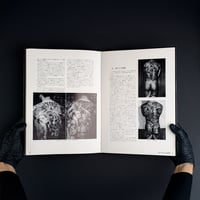 Image 8 of JAPANS TATTOO ARTS HORIYOSHI´S WORLD VOL.2