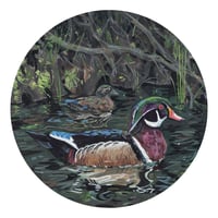 Image 2 of Wood Ducks Print
