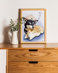 Image 3 of Sleeping Shibas