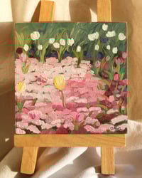 Image 3 of Sunshine