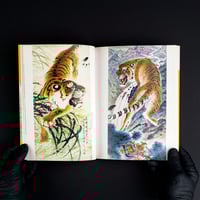 Image 2 of DRAWING TIGERS BY DUAN XIRAN
