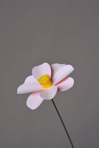 Image 3 of Cosmos