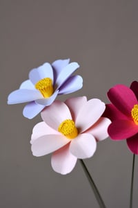 Image 2 of Cosmos