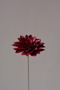 Image 2 of Dalia
