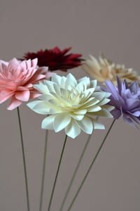 Image 1 of Dalia