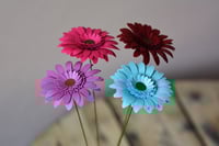 Image 4 of Gerbera