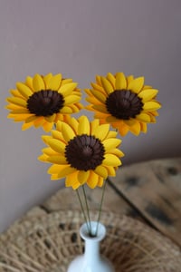 Girasole