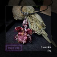 Image 8 of ☽ Orchidea ☾
