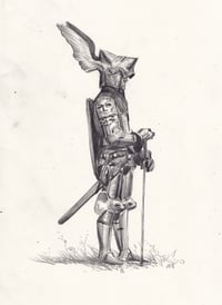 Knight Bandit Small Original 05