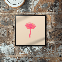 Image 1 of Shiitakes Mushroom