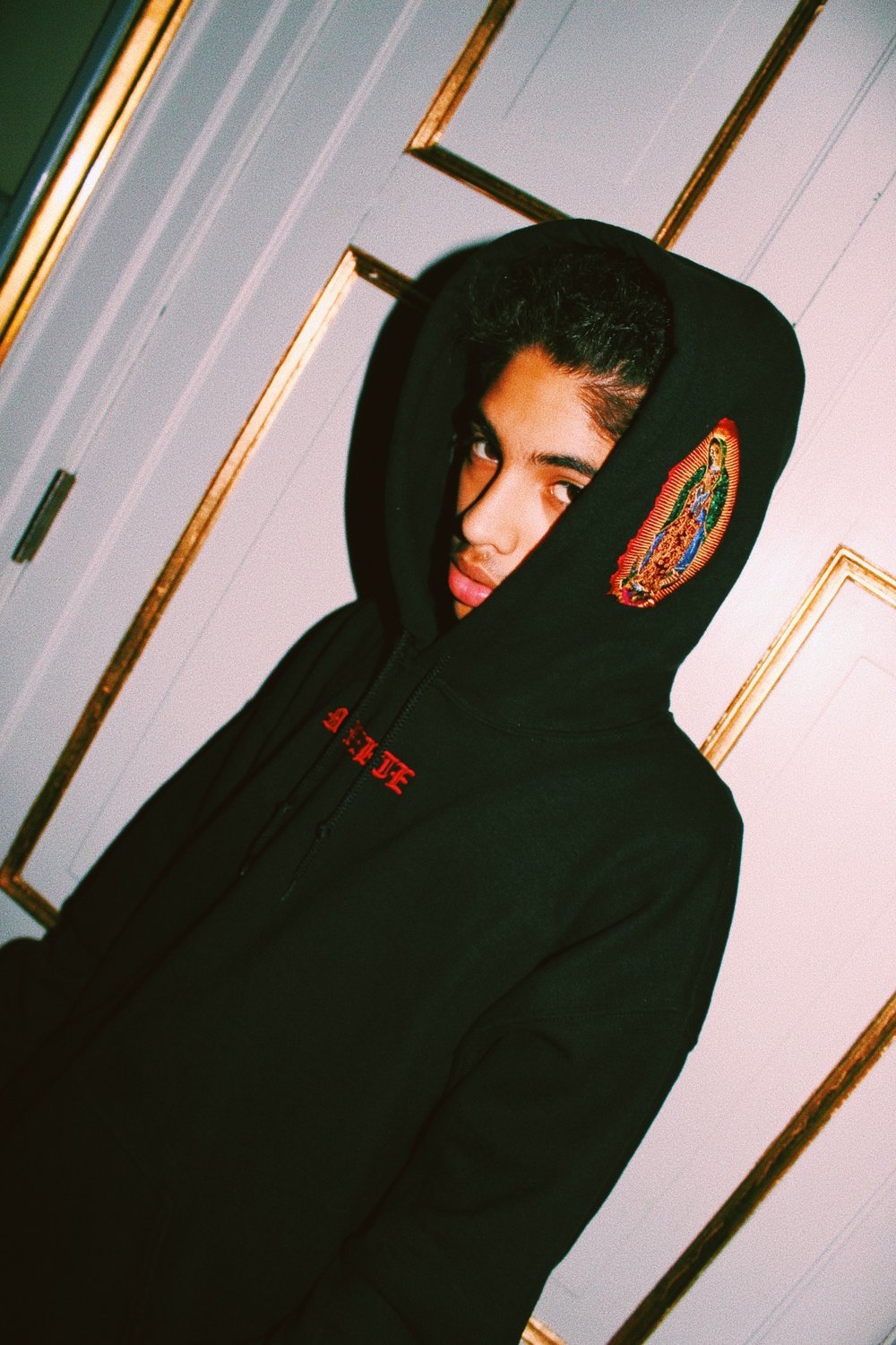 Image of MOTHER MARY HOODIE