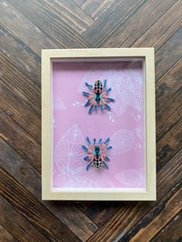 Image 2 of  Faux Entomology Mount - Brazilian Jeweled Tarantula 