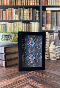 Image 3 of  Faux Entomology Mount - Brazilian Jeweled Tarantula 