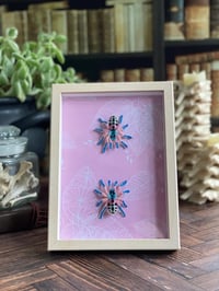 Image 1 of  Faux Entomology Mount - Brazilian Jeweled Tarantula 
