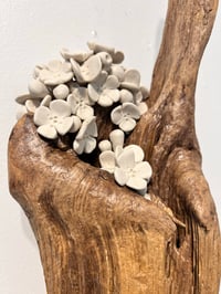 Image 4 of Pointing Bouquet- Cara O'Brien