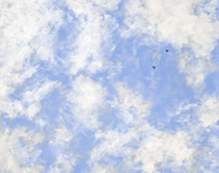 "TR-3B Escort" Original Artwork - Unframed, 20" x 16"