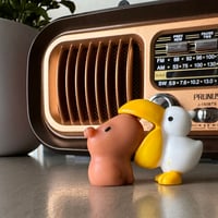 Image 1 of Capybara and the Pelican