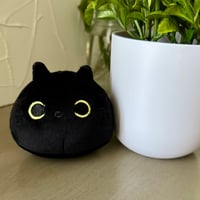 Image 1 of Black Cat Plush