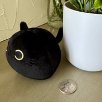 Image 2 of Black Cat Plush