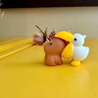 Image 3 of Capybara and the Pelican