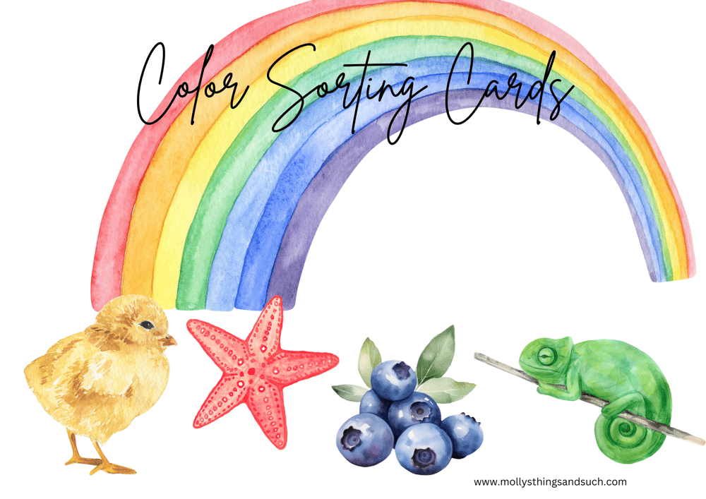 Image of Color Sorting Cards