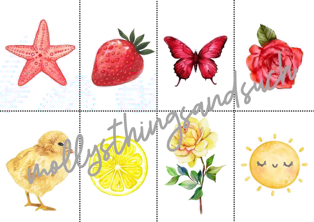 Image of Color Sorting Cards
