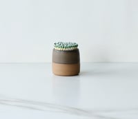 Image 1 of Match striker in Sepia