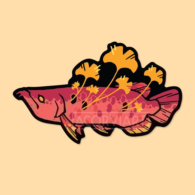 Ginkgo Arowana Sticker