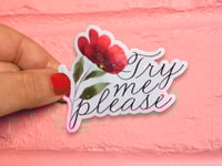 Image 1 of Try Me Please Die Cut Vinyl Sticker
