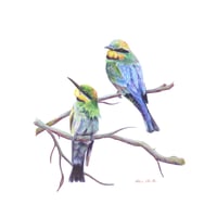 Image 1 of "Jewels of the Air" - Rainbow Bee-eater Print