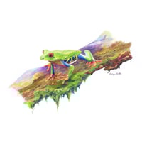 Image 1 of "Rainforest Gem" - Red-eyed Green Tree Frog Print