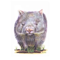 Image 1 of "Aussie Character" - Wombat Print
