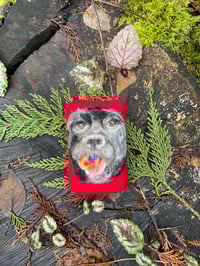 Image 1 of Dog & his ball