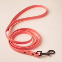 Image 2 of Laisse 1/2 en Biothane couleur Corail