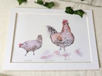 Image 1 of Speckled Chickens a4 Print