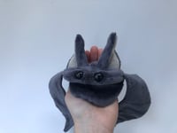 Image 2 of Flat Bat