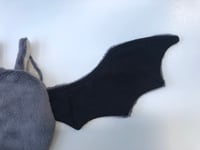 Image 7 of Flat Bat