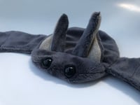 Image 8 of Flat Bat