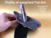 Image 11 of Flat Bat