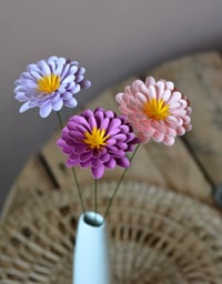 Image 4 of Zinnia