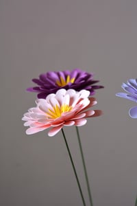 Image 3 of Zinnia