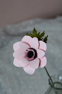 Image 2 of Anemone