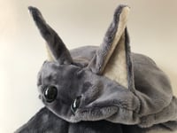 Image 2 of Weighted Jumbo Flat Bat